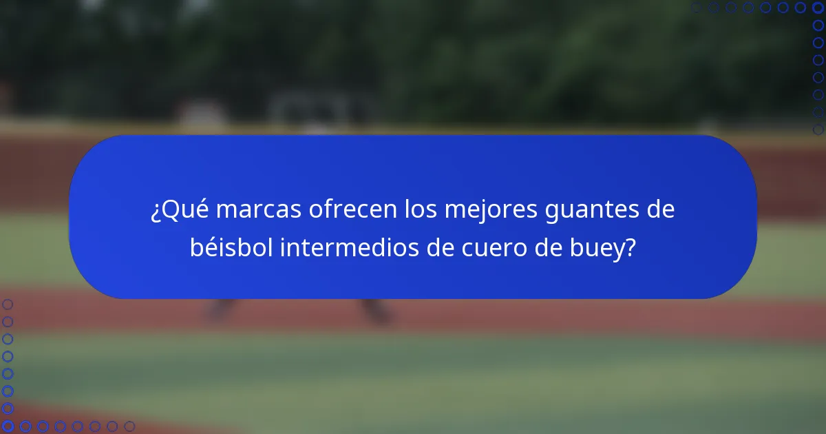 ¿Qué marcas ofrecen los mejores guantes de béisbol intermedios de cuero de buey?