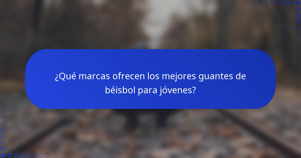 ¿Qué marcas ofrecen los mejores guantes de béisbol para jóvenes?