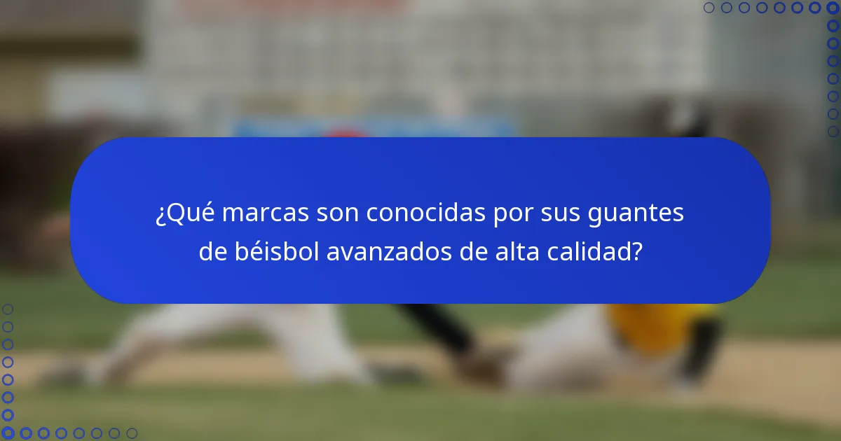 ¿Qué marcas son conocidas por sus guantes de béisbol avanzados de alta calidad?