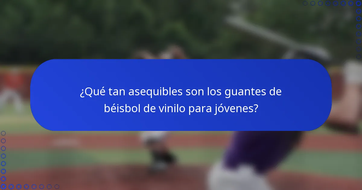 ¿Qué tan asequibles son los guantes de béisbol de vinilo para jóvenes?